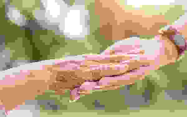 imagetype6-2